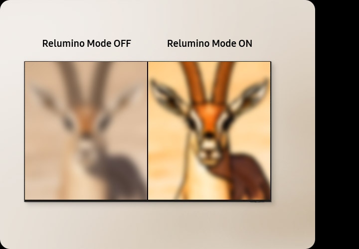 Feature Image 4