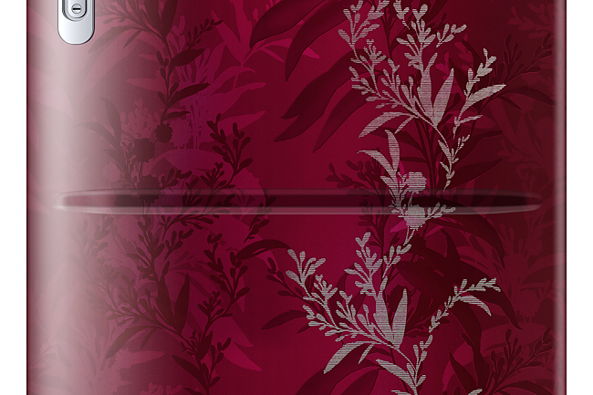 rr24t285y6r single door with stylish grandé design 230l