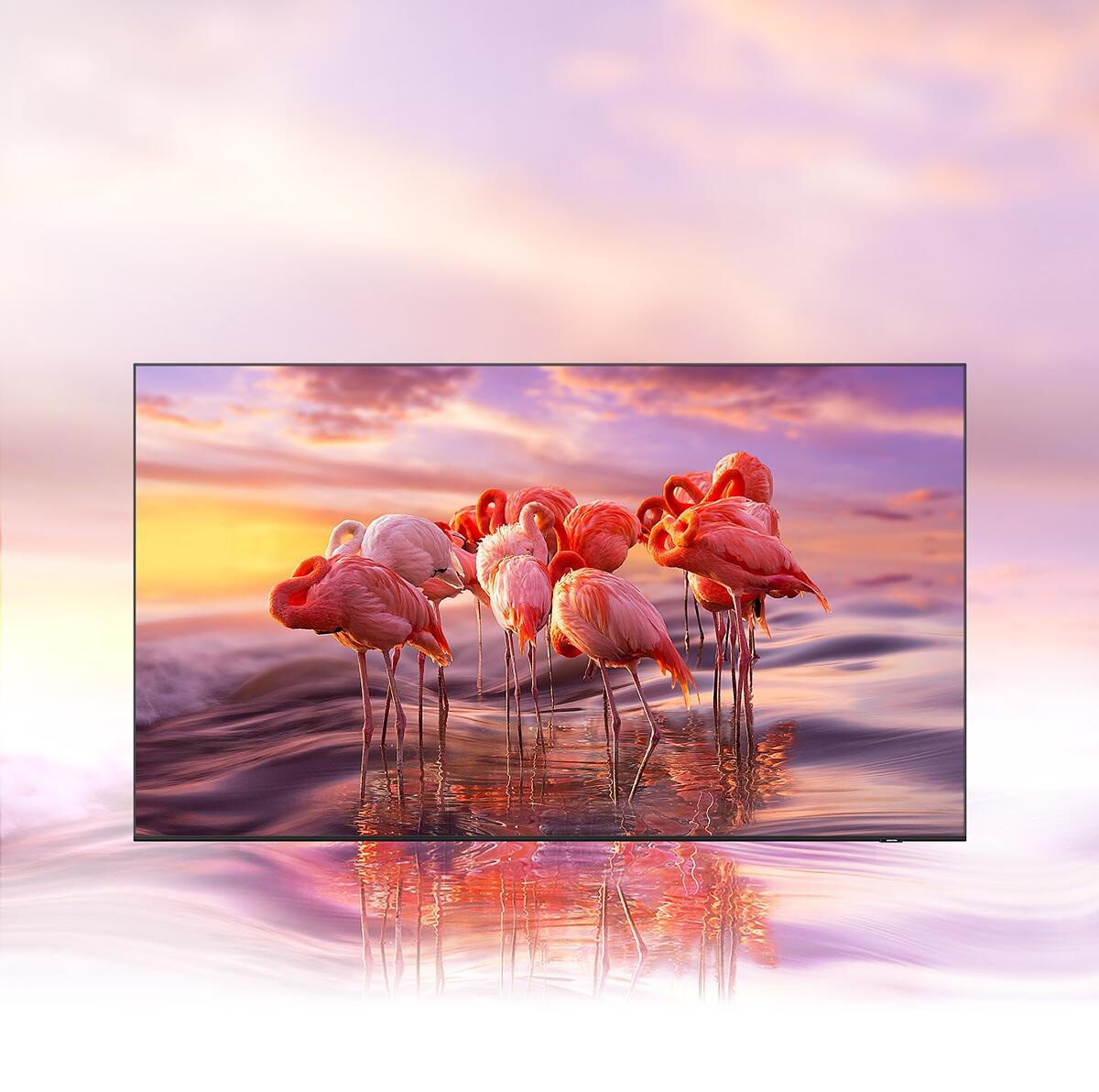 ТЕЛЕВИЗОР SAMSUNG QE-55Q60A