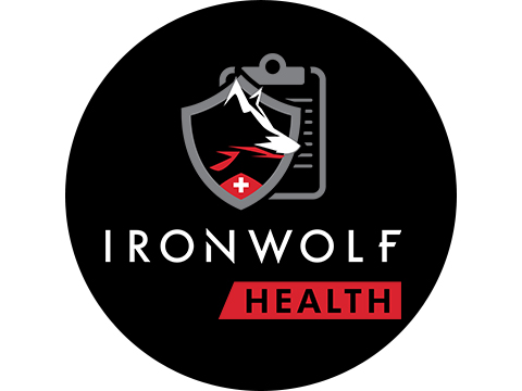 IronWolf 4 To