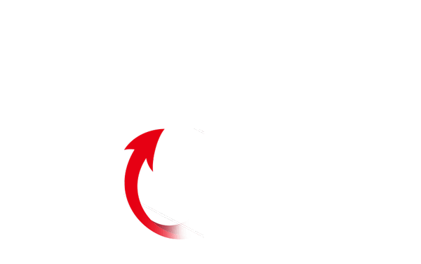 Reversible connector