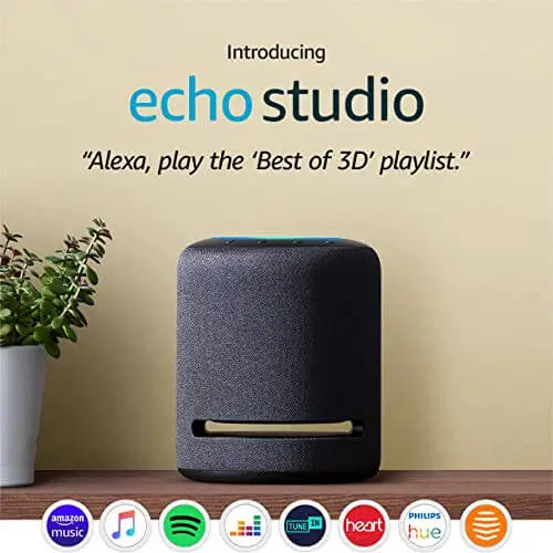 Echo best sale input currys