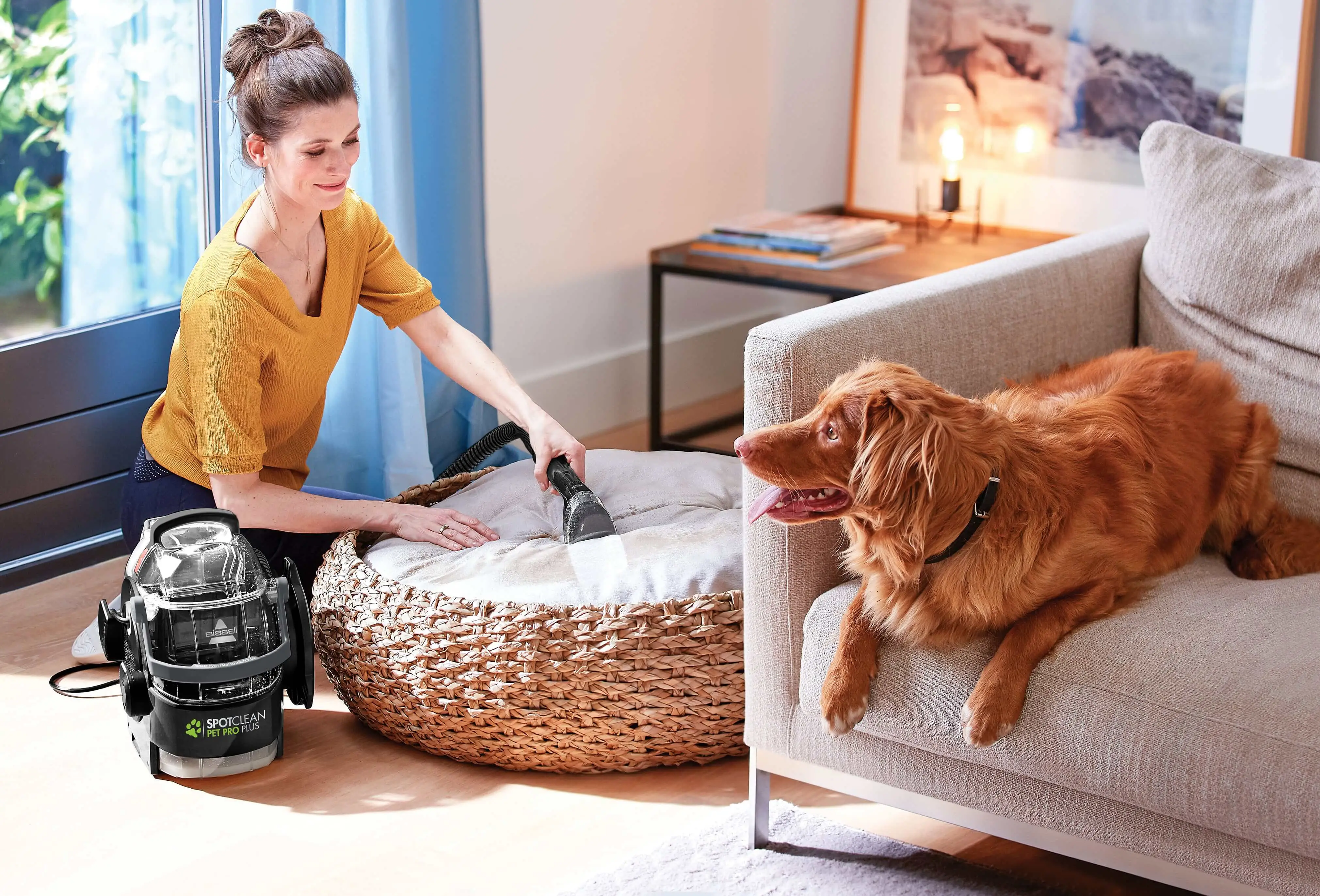 Accessoires axés animaux de compagnie