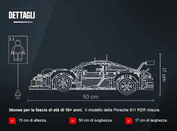 LEGO Technic Porsche 911 RSR, Modello di Auto da Corsa, Set di Costruzioni  Avanzato, Modellino da