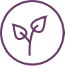Leaf Icon