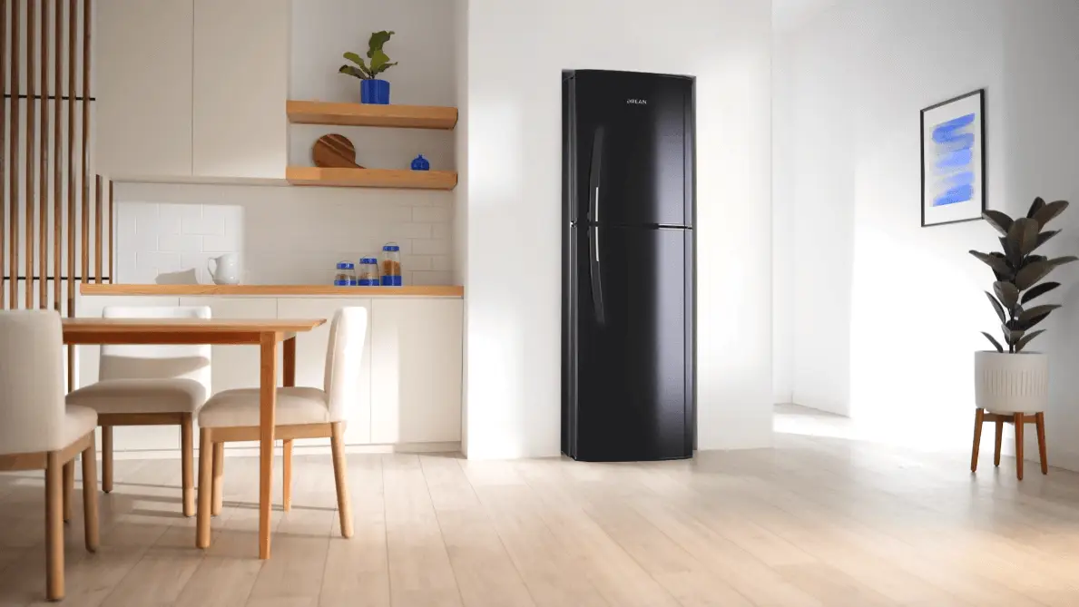 DESCUBRÍ SU INNOVACIÓN Y DISEÑO