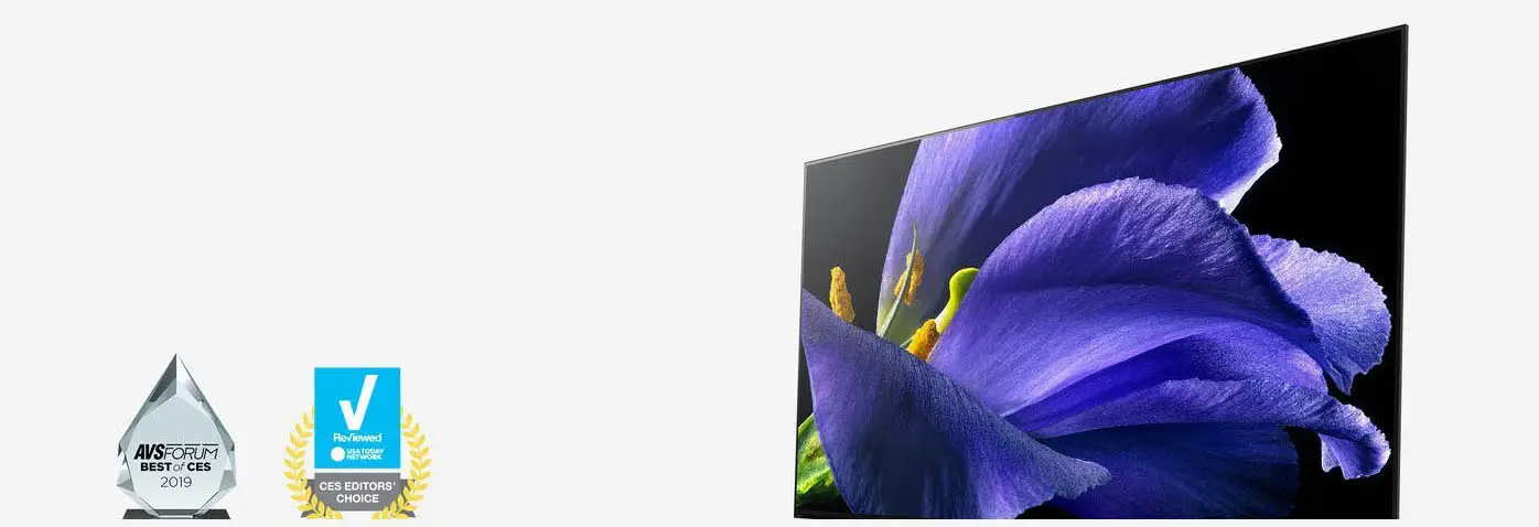 Sony Oled Tv Sony 55ag9 TV SONY KD55AG9BAEP (OLED 55