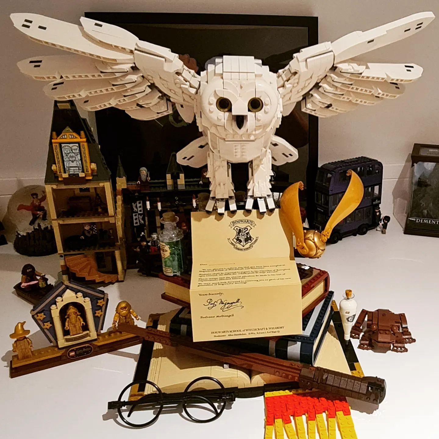 LEGO Harry Potter Mini figurine Harry Potter avec Hedwig (chouette) et  prophète du jour : : Jeux et Jouets