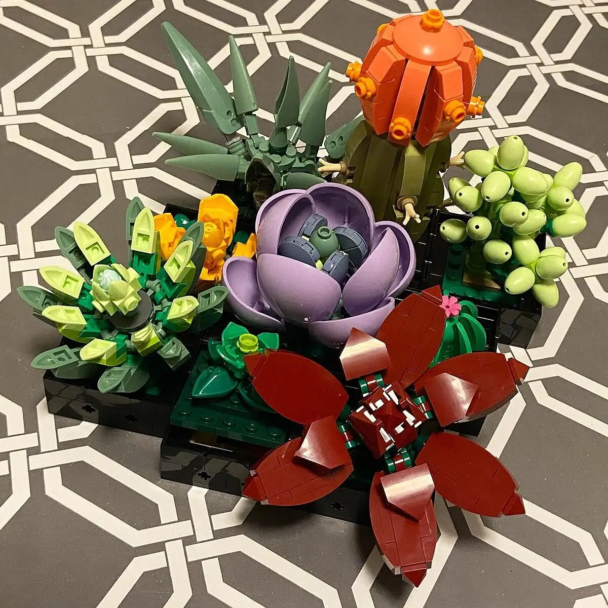 Brickfinder - LEGO Botanical Collection Succulents 10309 Official