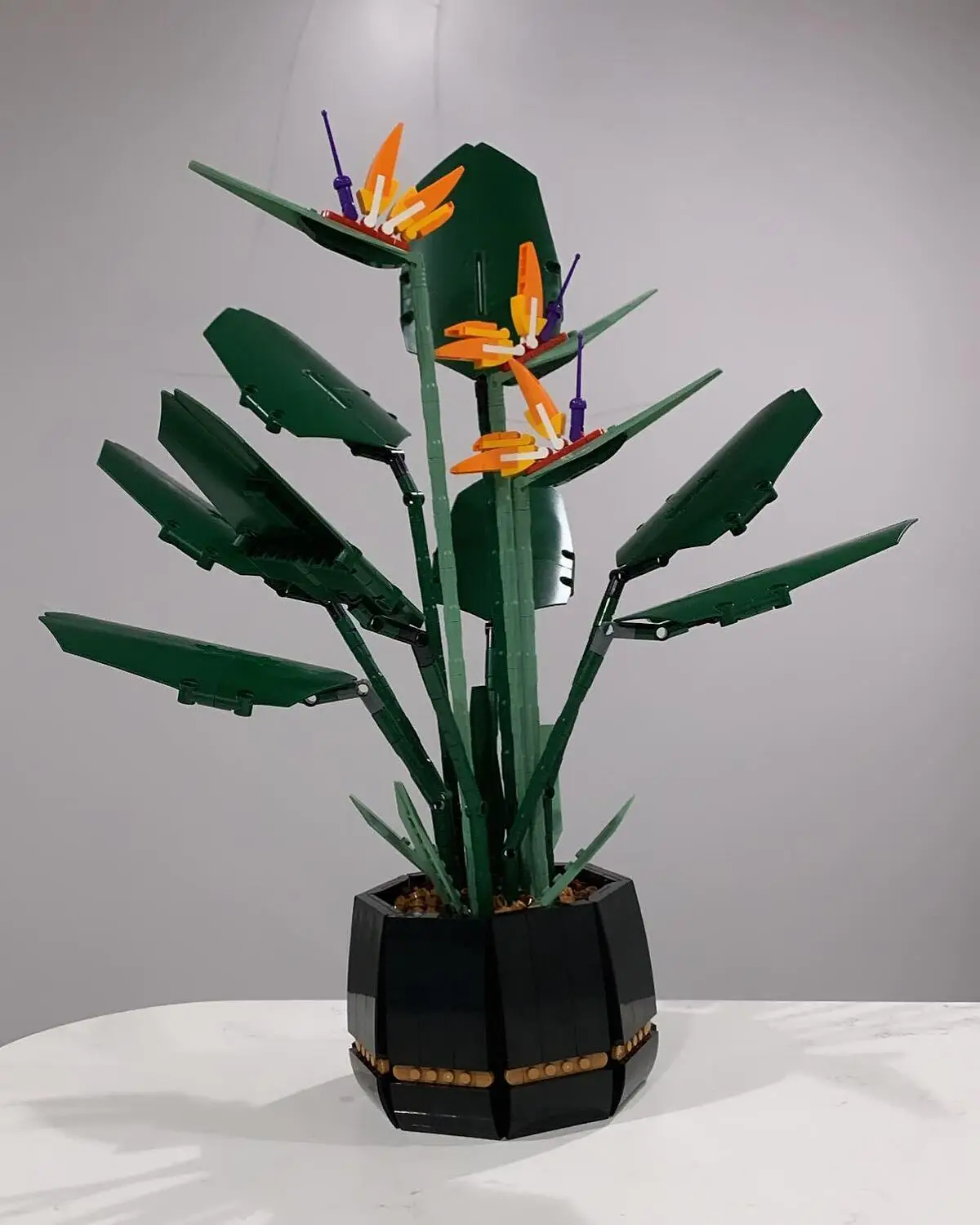 Lego 10289 creator expert l'oiseau de paradis jeu de construction pour  adultes plantes artificielles fleurs déco idée cadeau - La Poste