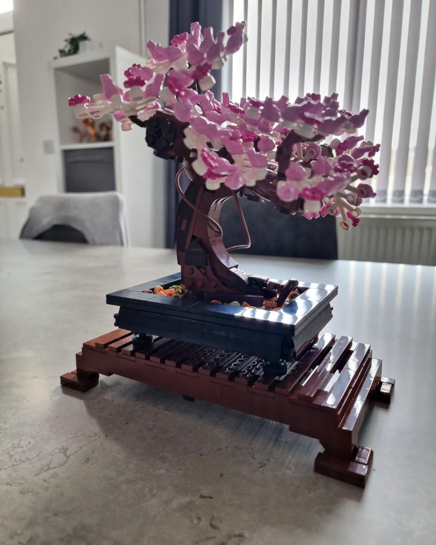 SHOT CASE - LEGO Creator Expert 10281 Bonsai loisir créatif pour adultes,  kit de décoration botanique DIY - Cdiscount Jeux - Jouets