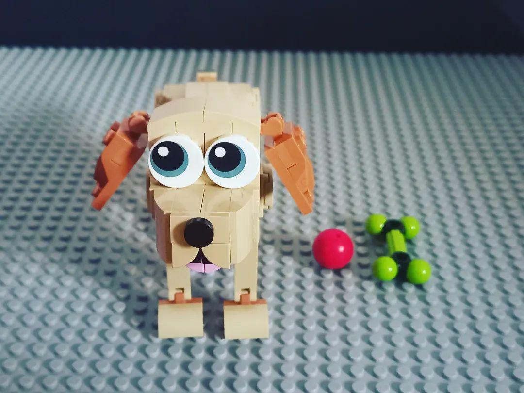 LEGO® 31137 Adorables chiens LEGO® Creator 3in1 - VELIS Spielwaren