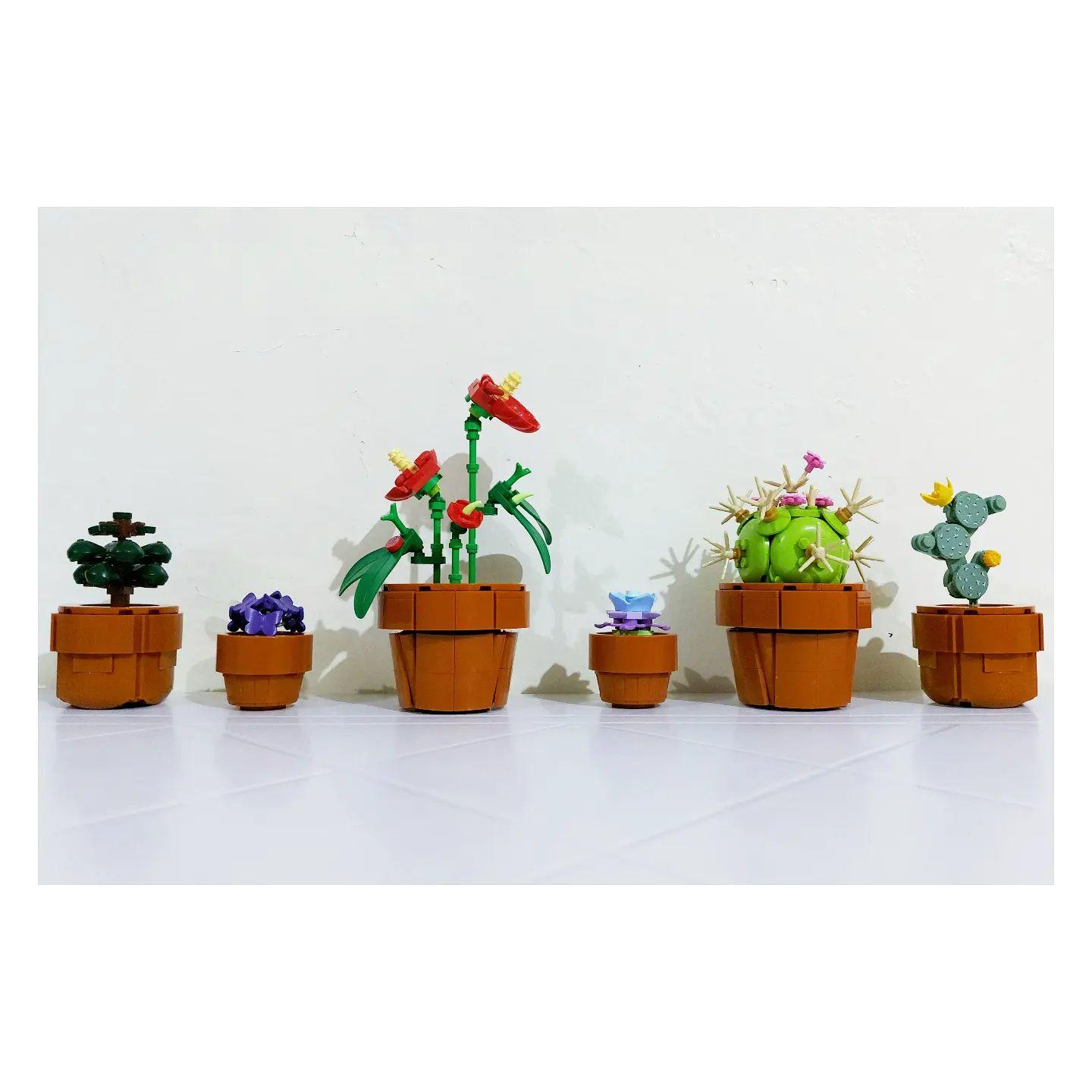 yostoyfotos