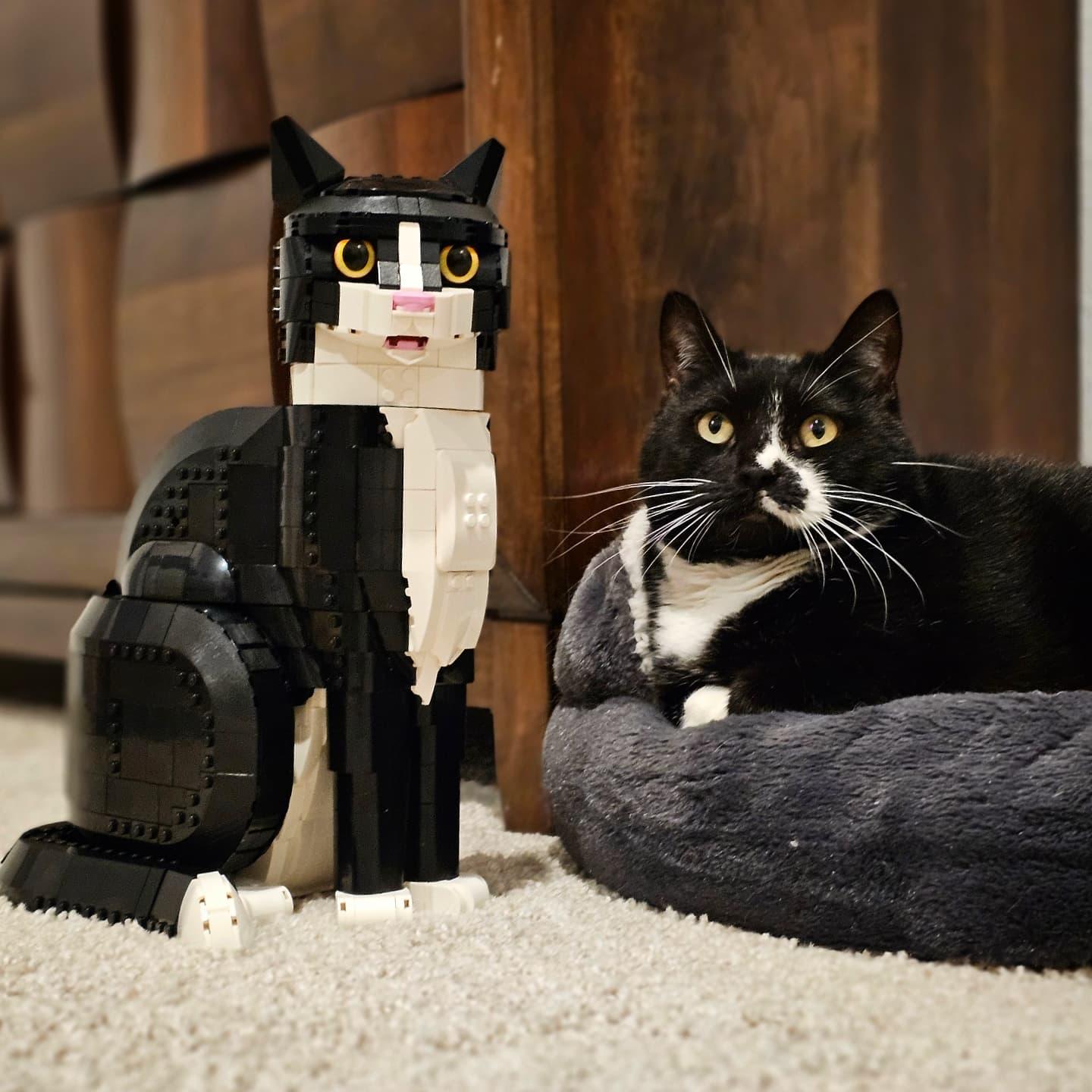 LEGO, Tuxedo Cat Building Set for Adults, 21349, DIY Crafts Kit 