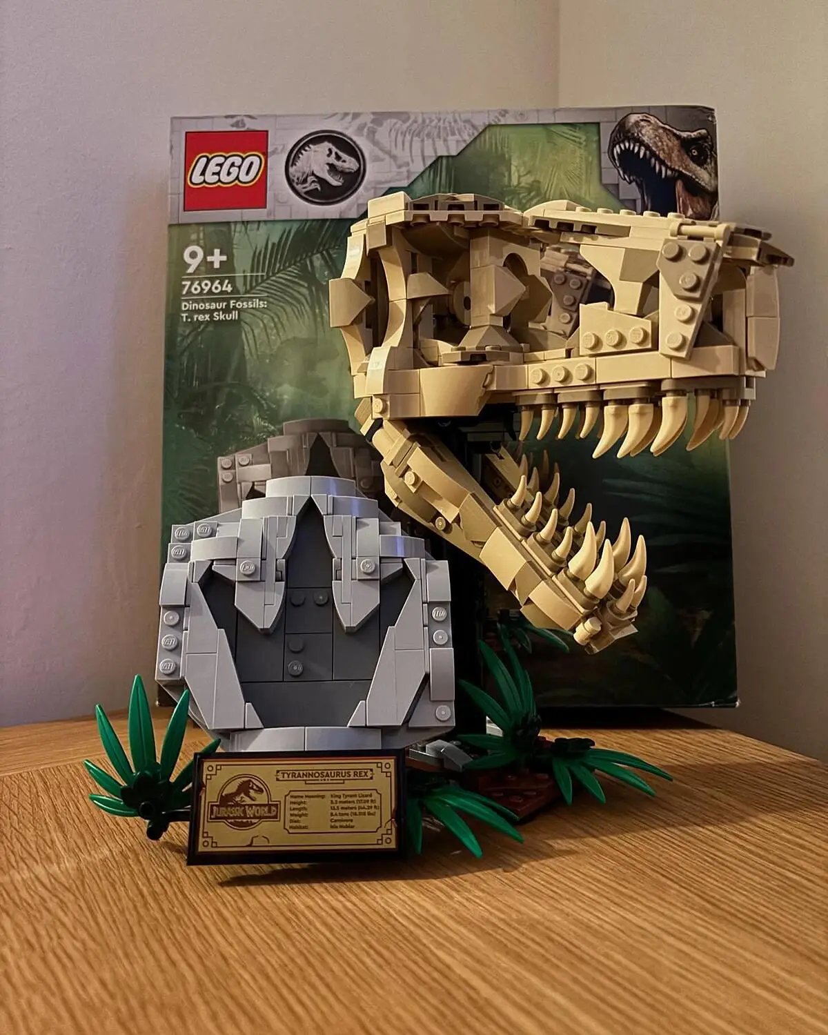 Dinosaur Fossils: T. rex Skull 76964 | Buy online at the