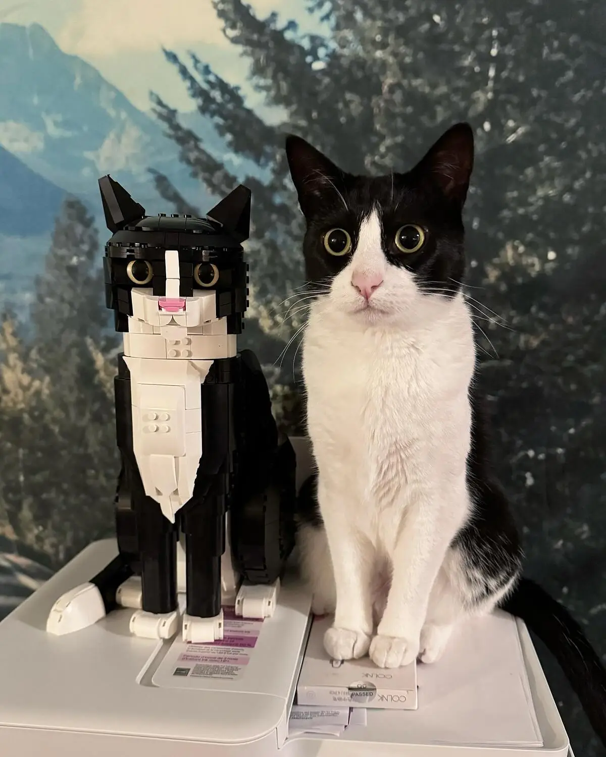 LEGO, Tuxedo Cat Building Set for Adults, 21349, DIY Crafts Kit 