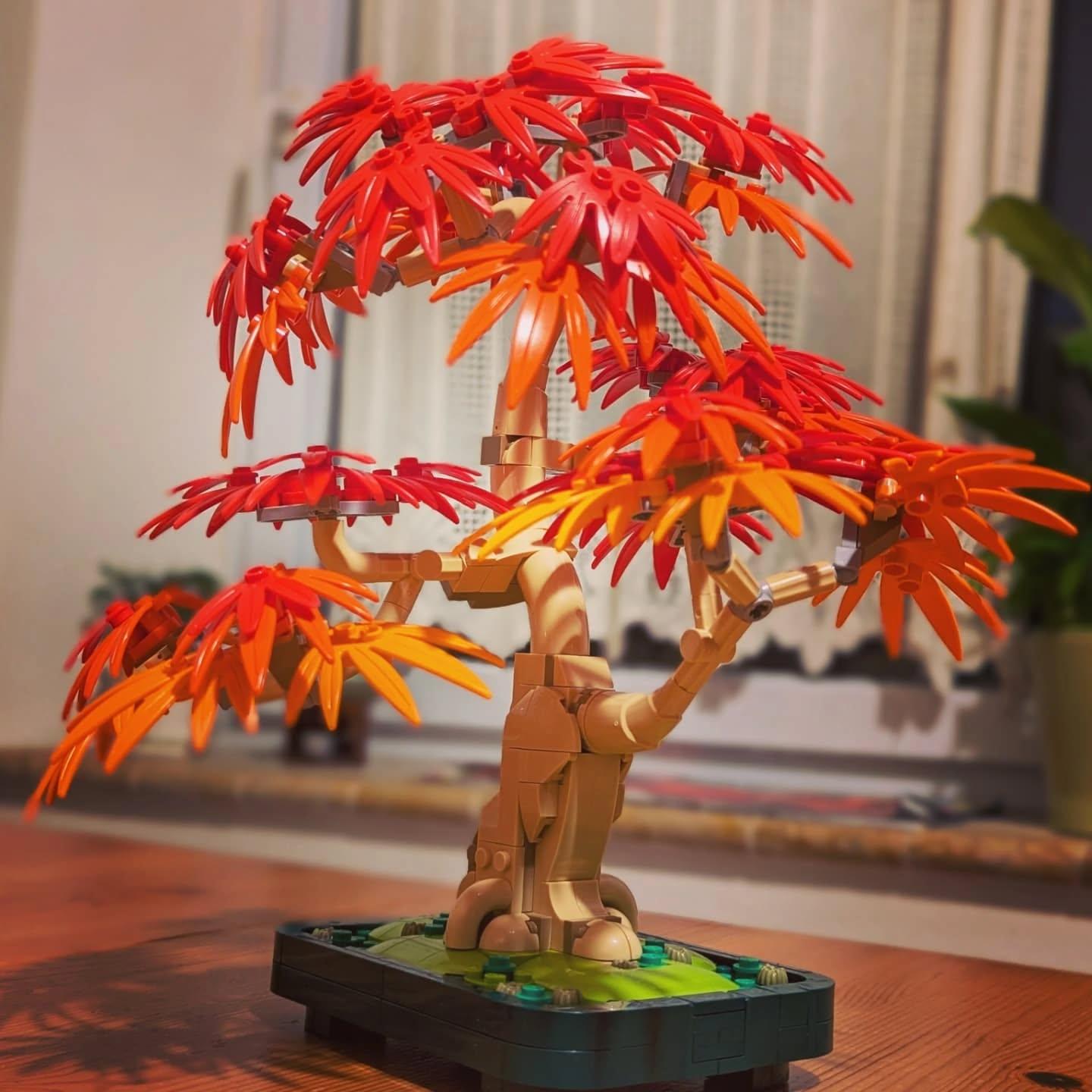 Japanese Red Maple Bonsai Tree - Kiddiwinks Online LEGO Shop