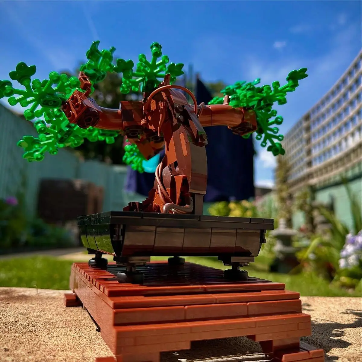 LEGO LEGO ICONS - 10281 Bonsai Baum | GALERIA