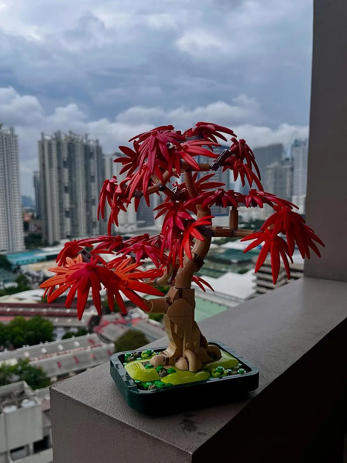 Japanese Red Maple Bonsai Tree - Kiddiwinks Online LEGO Shop