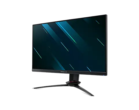 Acer Predator XB253QGP 24.5
