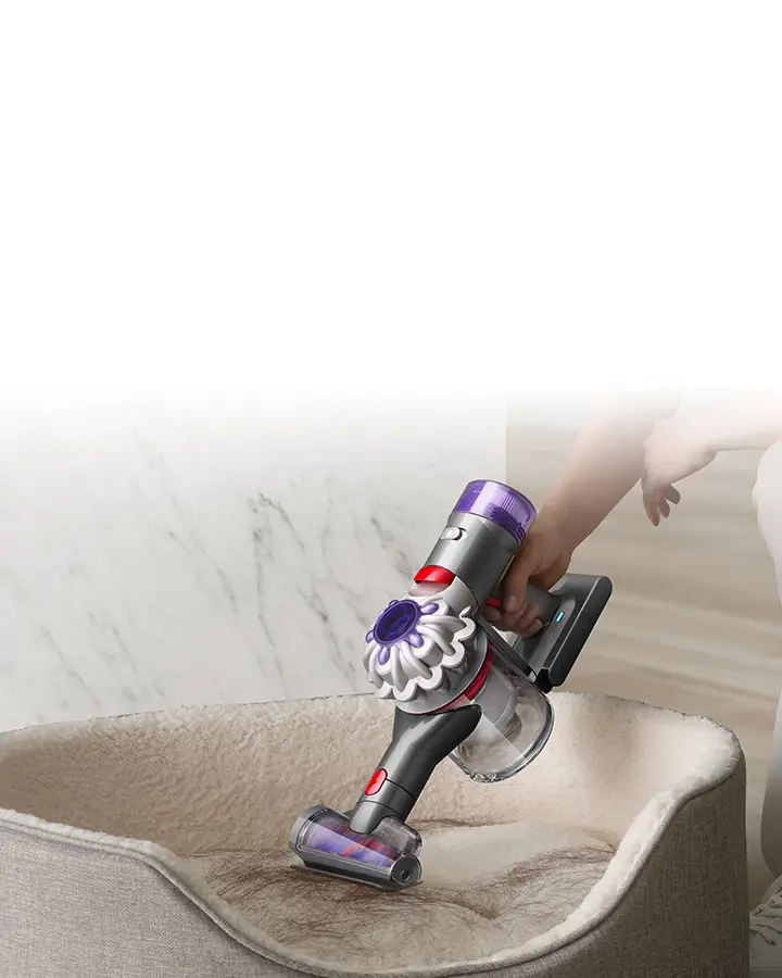 Dyson V8 Absolute Cordless Vacuum | Silver/Nickel | New