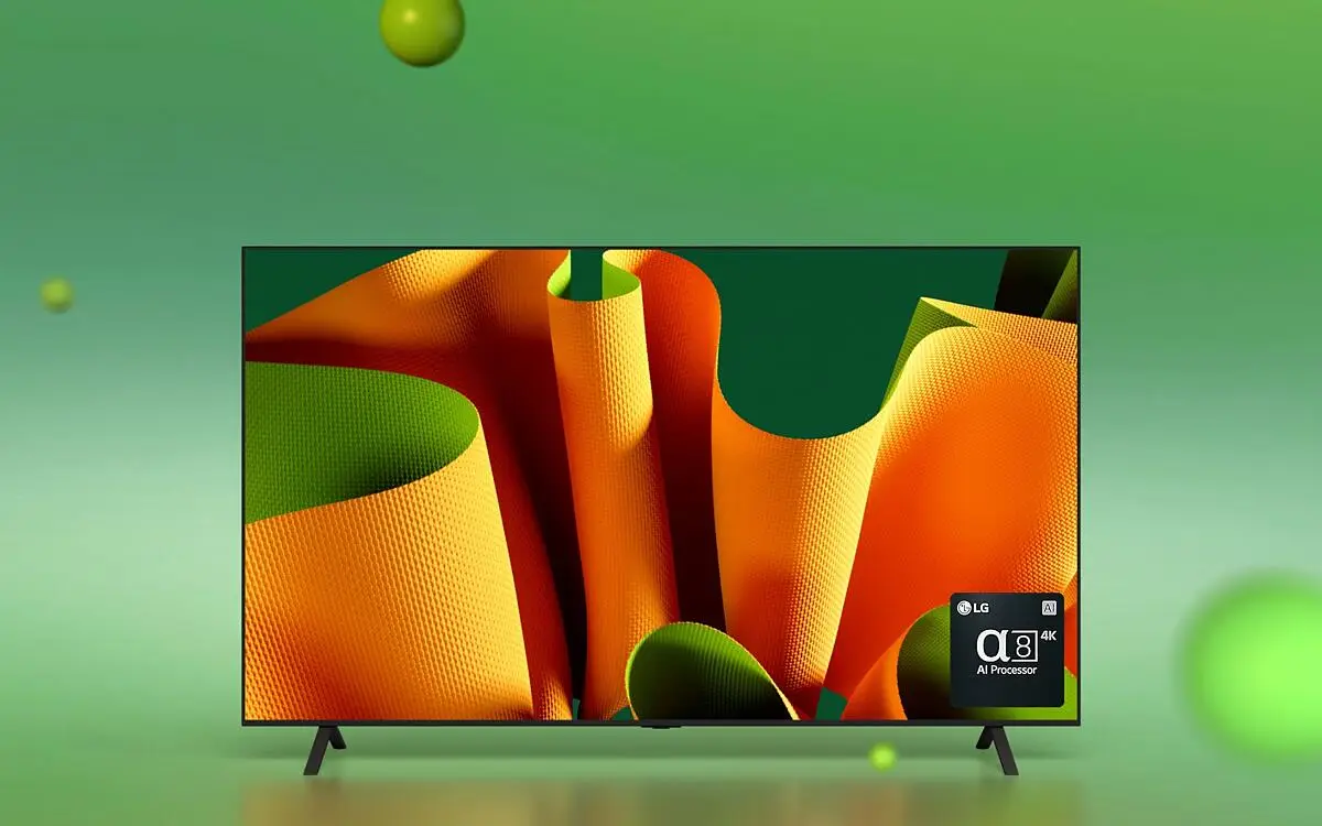 LG Electorinics Japan OLED55B4PJA 有機ELテレビ 55V型 ／4K対応 ／BS