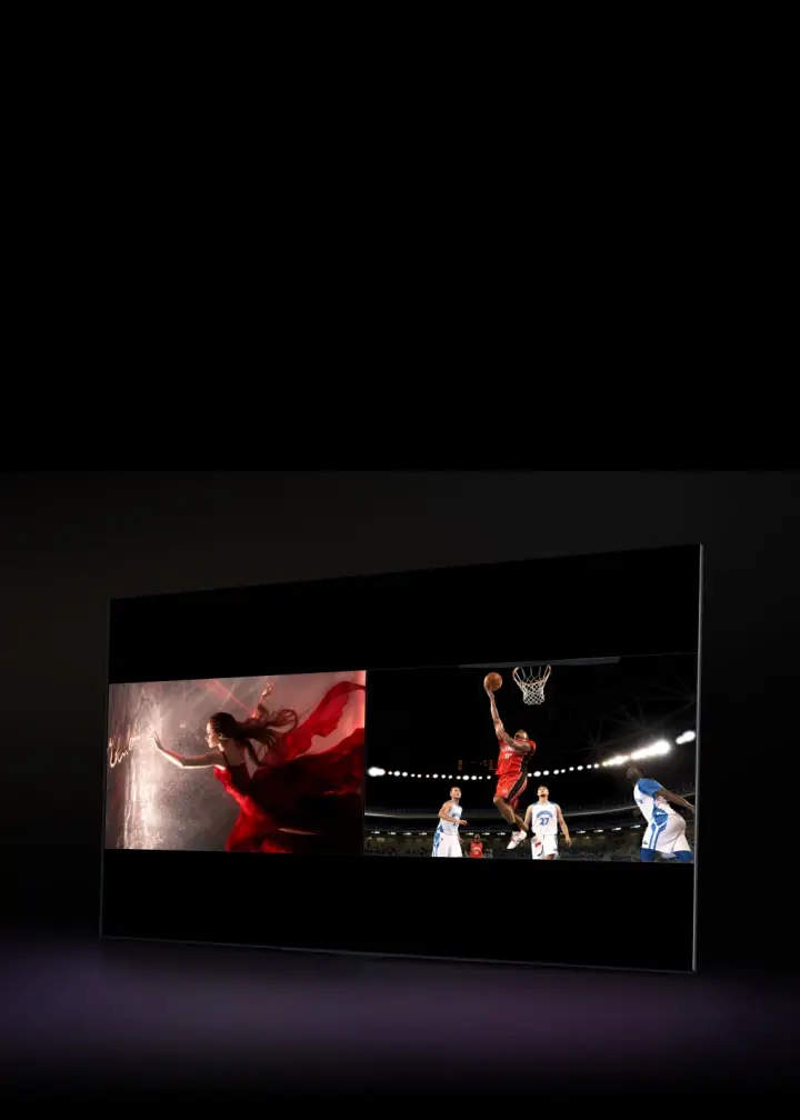 LG Electorinics Japan OLED48B4PJA 有機ELテレビ 48V型 ／4K対応 ／BS