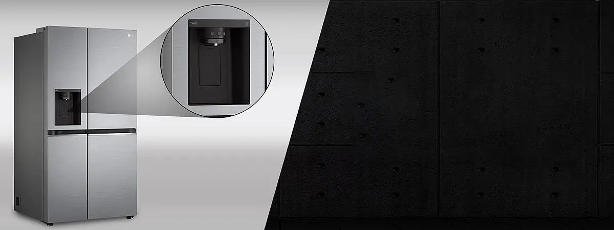 LG Electronics 217570648 D08 Water Ice Dispenser Web D 1v