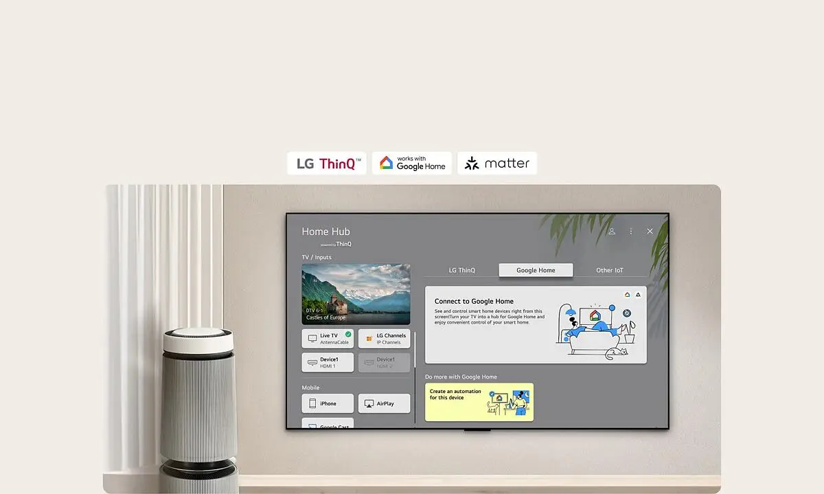 Voice Commands Google Home Hub Lg Tv Home Screen Switch On Tv With