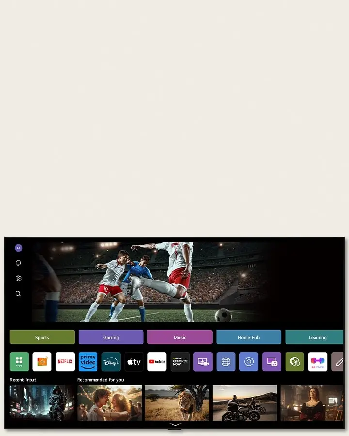 LG 55