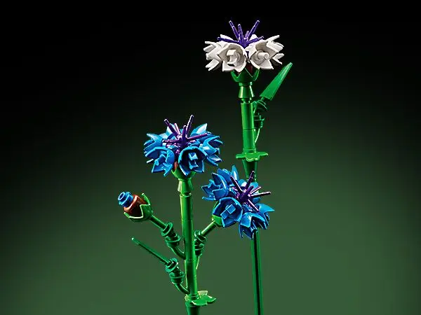 Feature Image