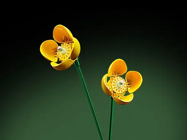Feature Image