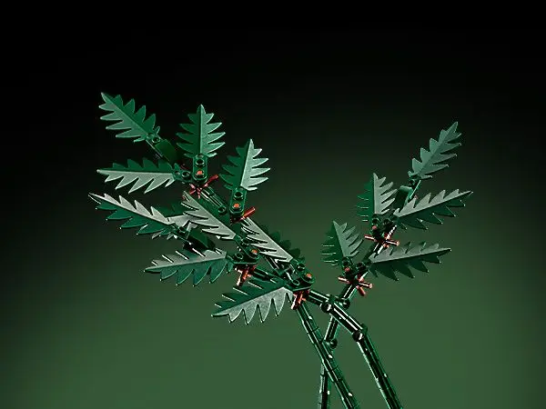 Feature Image