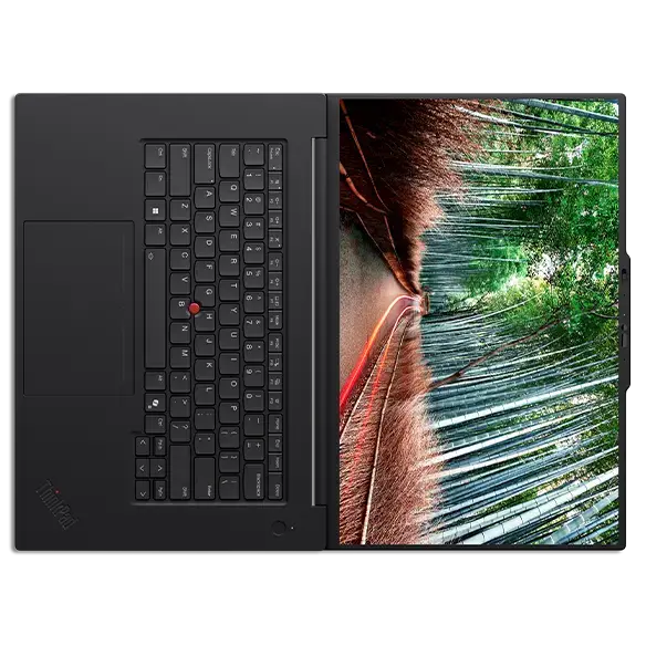 Lenovo ThinkPad P1 Gen 8 Workstation Notebook PC