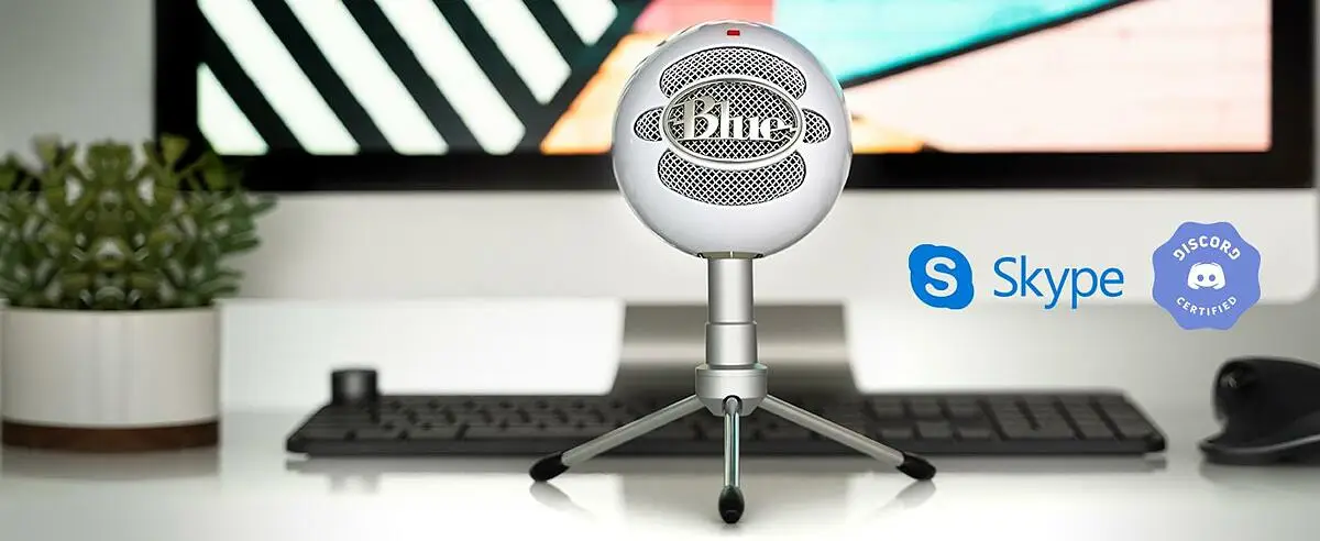 Skype and Discord Certified