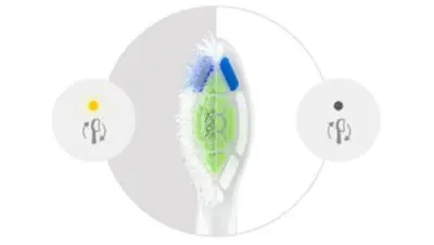 Jätkake parimat harjamist harjapea vahetamise meeldetuletusega