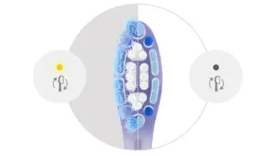 Jätkake parimat harjamist harjapea vahetamise meeldetuletusega