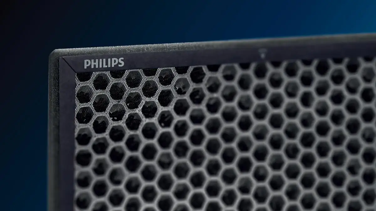 Der Originalfilter von Philips