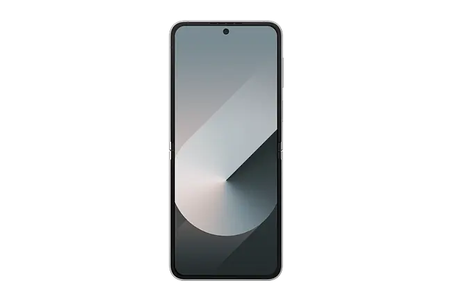 Galaxy Z Flip6 Silver Shadow 256 GB |