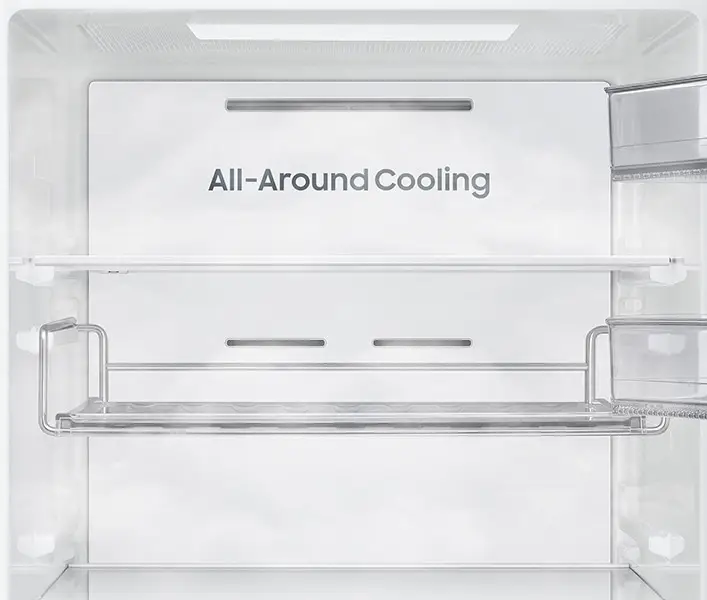 Ruan ftohtësinë për freski që zgjat