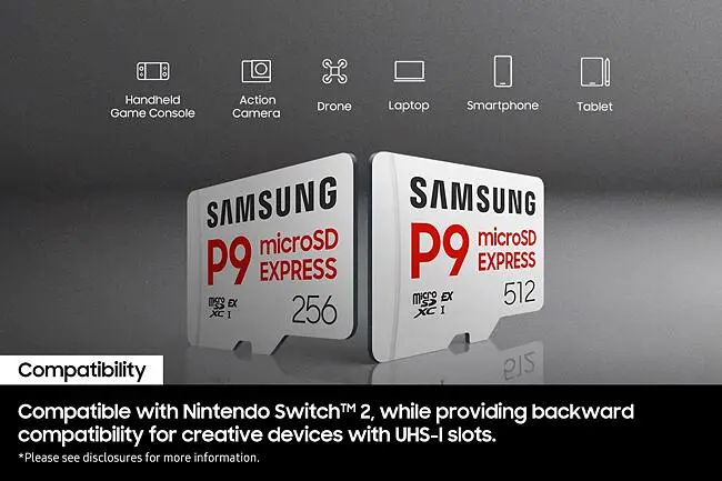 Samsung P9 Express 256GB microSD Card – Challenger Singapore