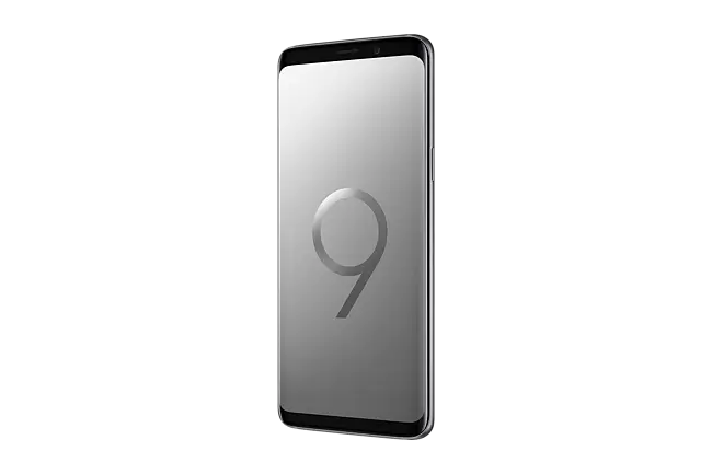 Samsung Galaxy S9 SM-G960FZPDXSG 64 GB Titanium Gray Online at