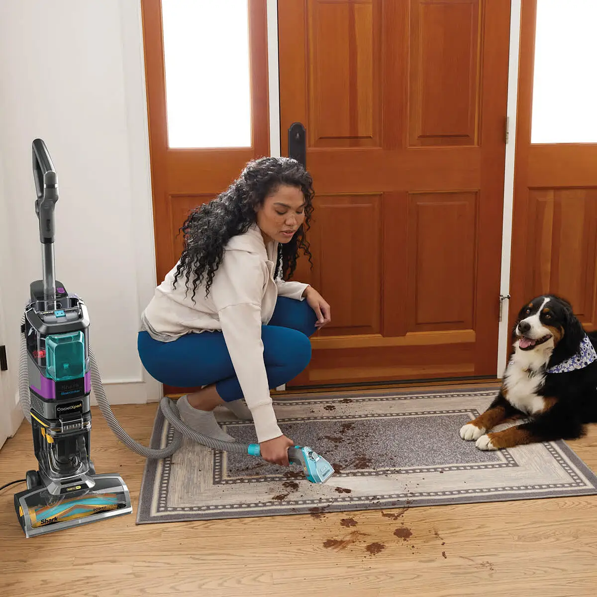 Shark EX300UK CarpetXpert HairPro Pet Vacuum Cleaner, Charcoal/Fuchsia