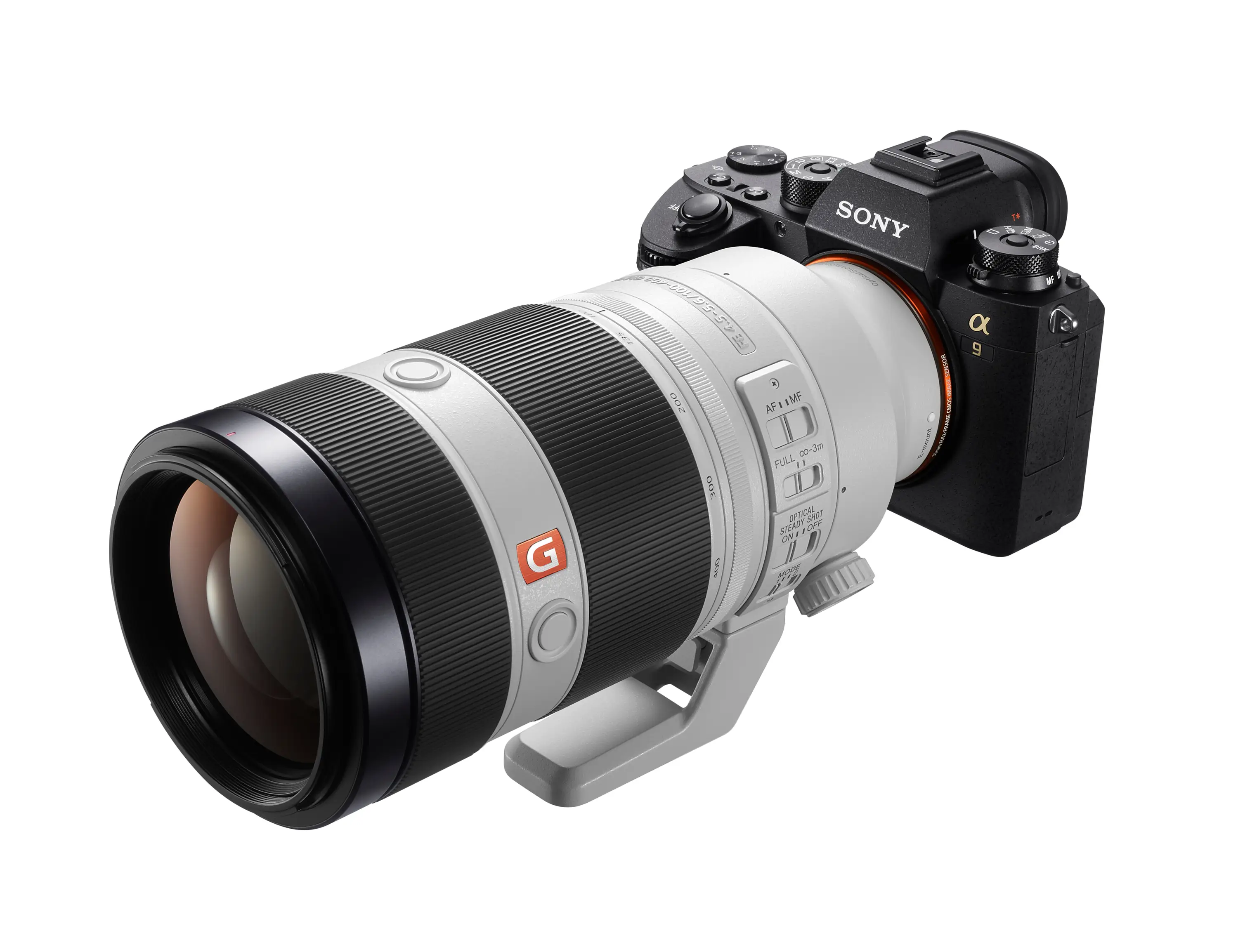 Sony FE 100-400 mm f4,5–5,6 GM OSS - Foto Erhardt
